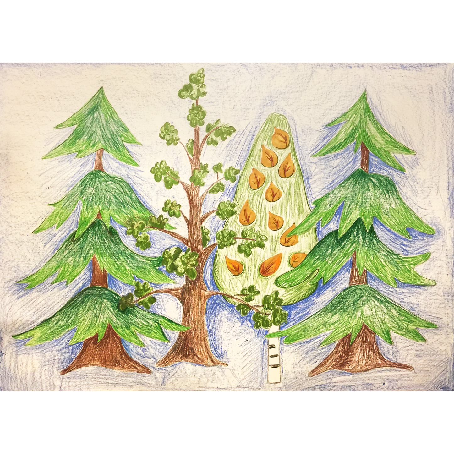 Marybeth's Trees Rug