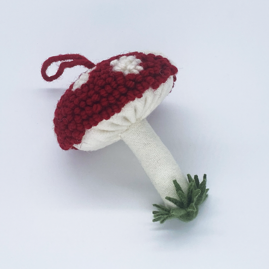 Lucky Mushroom Kit